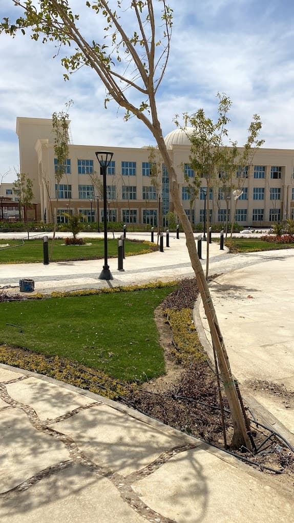 جامعة المنيا